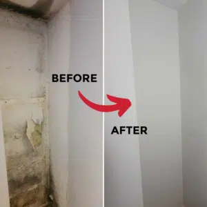before and after mould removal vc175_