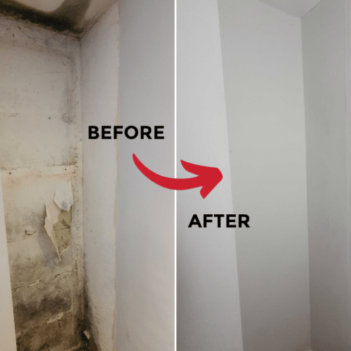before and after mould removal vc175_