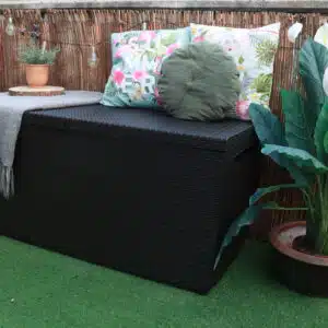 trunk after polytrol and furnished